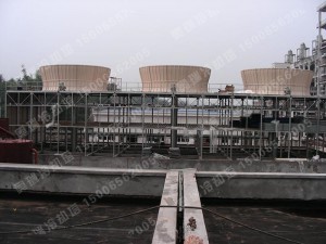 山东新龙集团