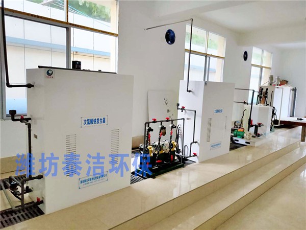 黄冈市团风县某水厂采用次氯酸钠发生器进行饮水消毒处理